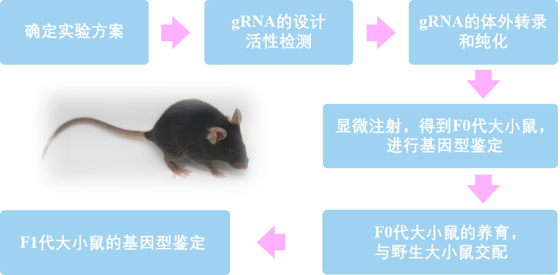 圖片關鍵詞 圖片關鍵詞